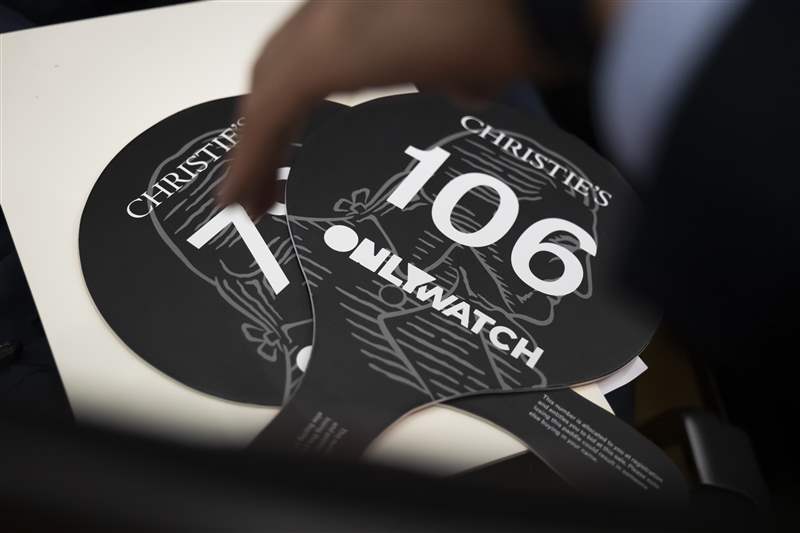 只有帶有 Watch 品牌標志的槳葉位于其兩側。
